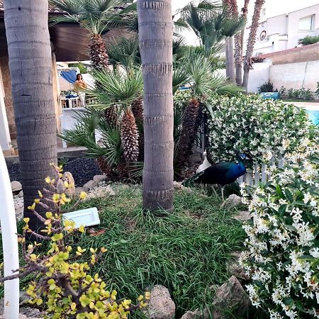 Dependance Oscar Apartment Carrozziere Fonte Ciane Luaran gambar