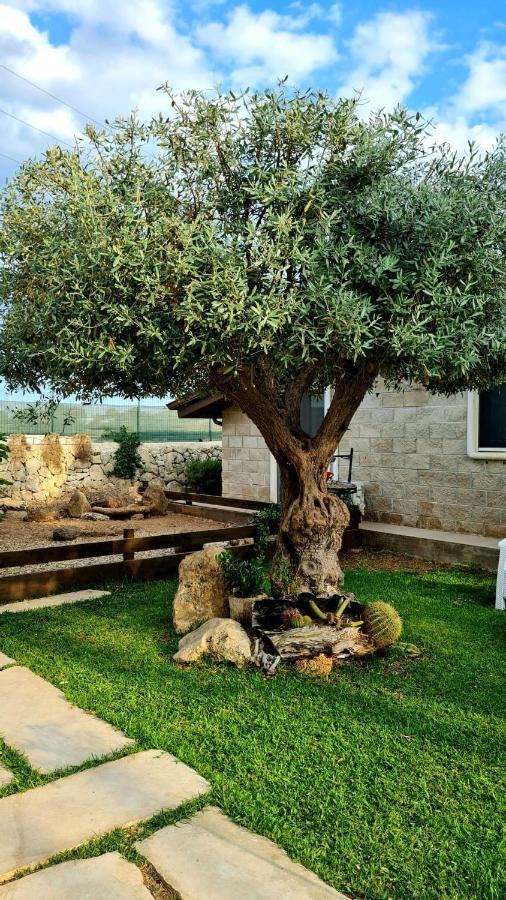 Dependance Oscar Apartment Carrozziere Fonte Ciane Luaran gambar
